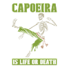 Capoeira Martial Dance Skeleton