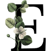 Green Botanical Letter E