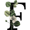 Letter F Green Botanical