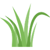 Grass