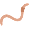 Earthworm