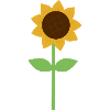 Tournesol