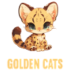 Golden Cats Golden Cat