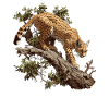 Golden Cats Golden Cat