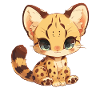 Golden Cats Golden Cat