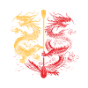Funny Dragon Boat Paddle