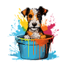 Foxterrier Hund Hunderasse