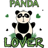 Cute panda bear