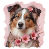 AUSTRALIAN SHEPHERD