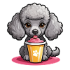 Poodle lady feeding