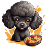 Black poodle with delicious food