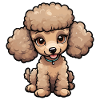 Cute Poodle in Beige