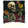 Skull and Nature