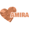Amira