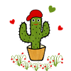 Cactus vert frais
