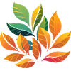 Plant Design