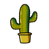 Caktus