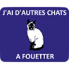 J'ai d'autres chats à fouetter