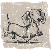 Funny children's drawing dachshund