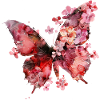 Elegant Butterfly Design T-Shirt