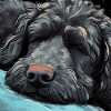 Sleeping Black Golden Doodle