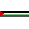 stand up for palestine