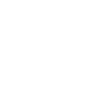 Clams Clam Seashell
