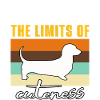 Funny Dachshund Sayings