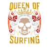 Surfer Surfen Reine Du Surf