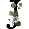 Letter J Green Botany