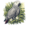 African grey parrots