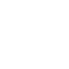 Writer Author