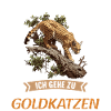 Golden Cats Golden Cat