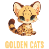 Golden Cats Golden Cat