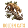 Golden Cats Golden Cat
