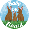Baby on board - Hasenfamilie