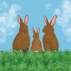Rabbit family