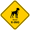Bouclier « Boxer X-ING »