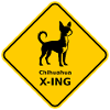 Shield "Chihuahua X-ING"