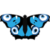 Nazar Butterfly