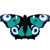 Nazar Butterfly
