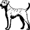 Airedale Terrier Dog Icon