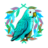 parrot parrots bird birds