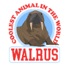 Walrus Walrus Walrus Walrus Gift