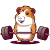 Deadlift Muscular Guinea Pig