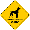 Panneau « Doberman Pinscher X-ING »