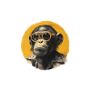 Monkey Sunglasses Cool