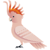 Cockatoo Pink Bird Graphic / Illustration