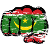Mauritania flag fist used