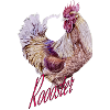 Roooster red